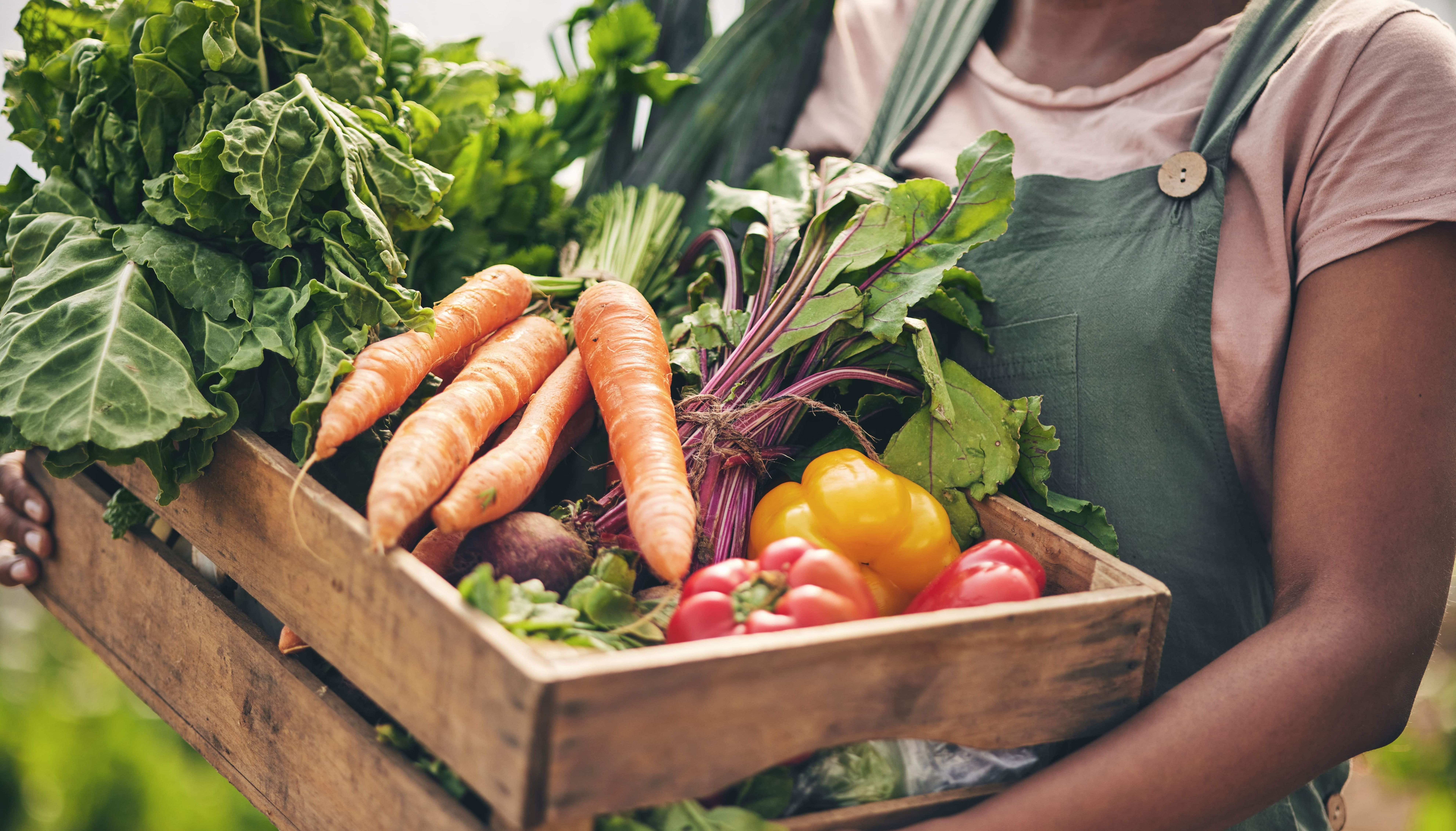 Farmer with just harvested vegetables basket