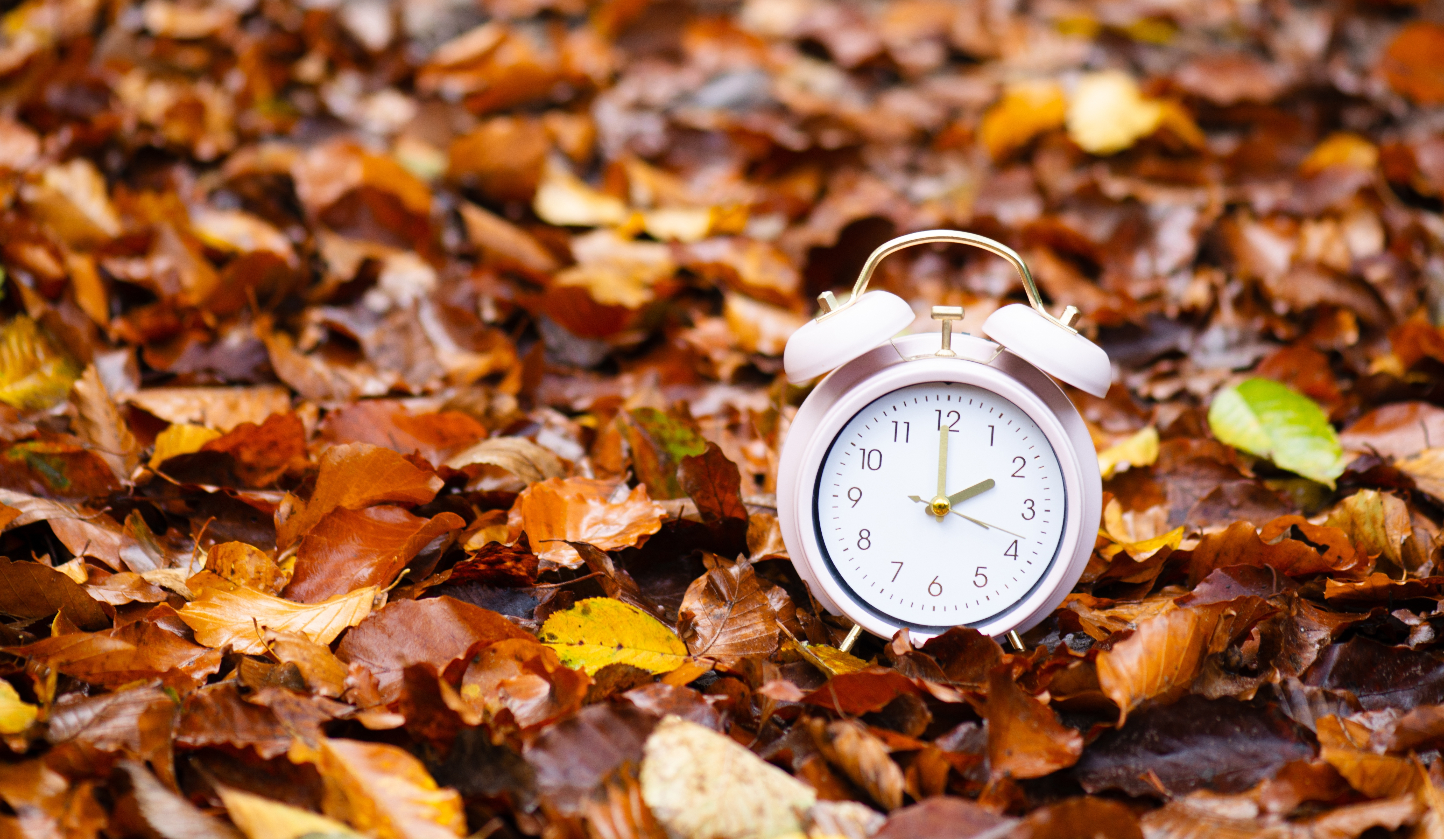 Alarm clock with autumn foliage, end of daylight saving
time